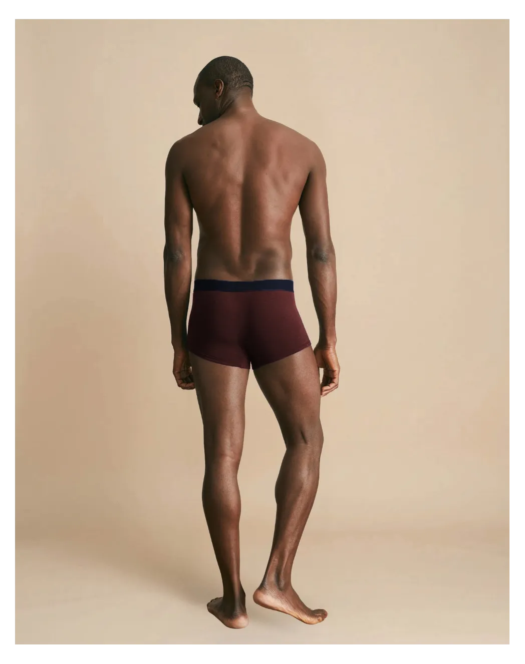 Boxer français bordeaux