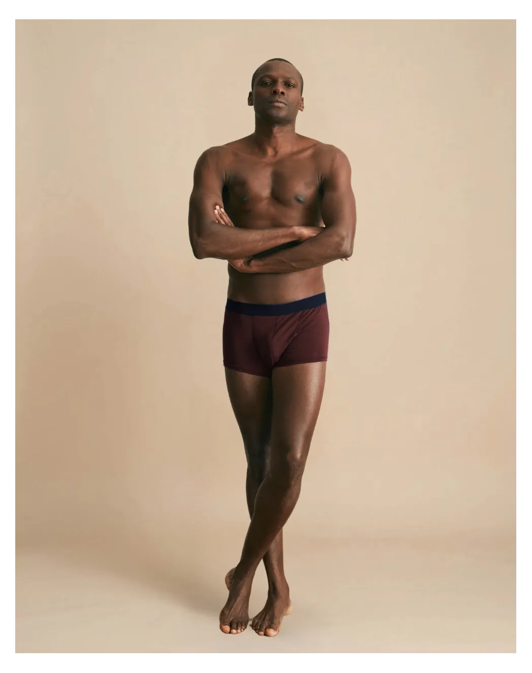 Boxer français bordeaux