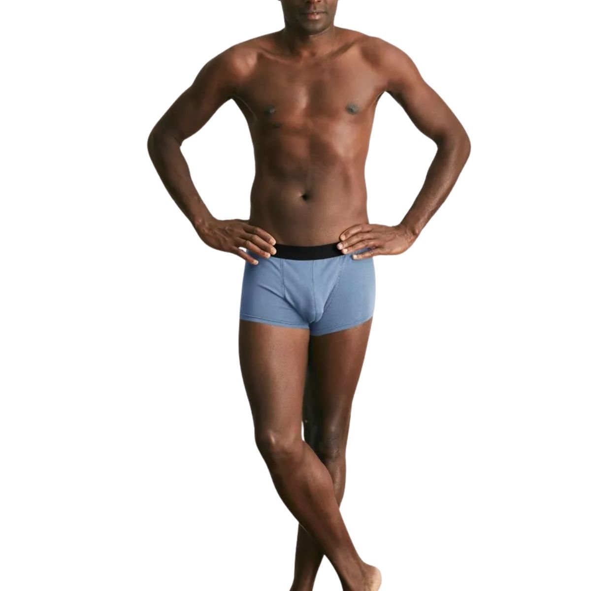 Boxer français Bleu clair