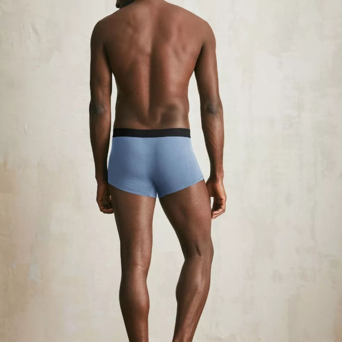 Boxer français Bleu clair