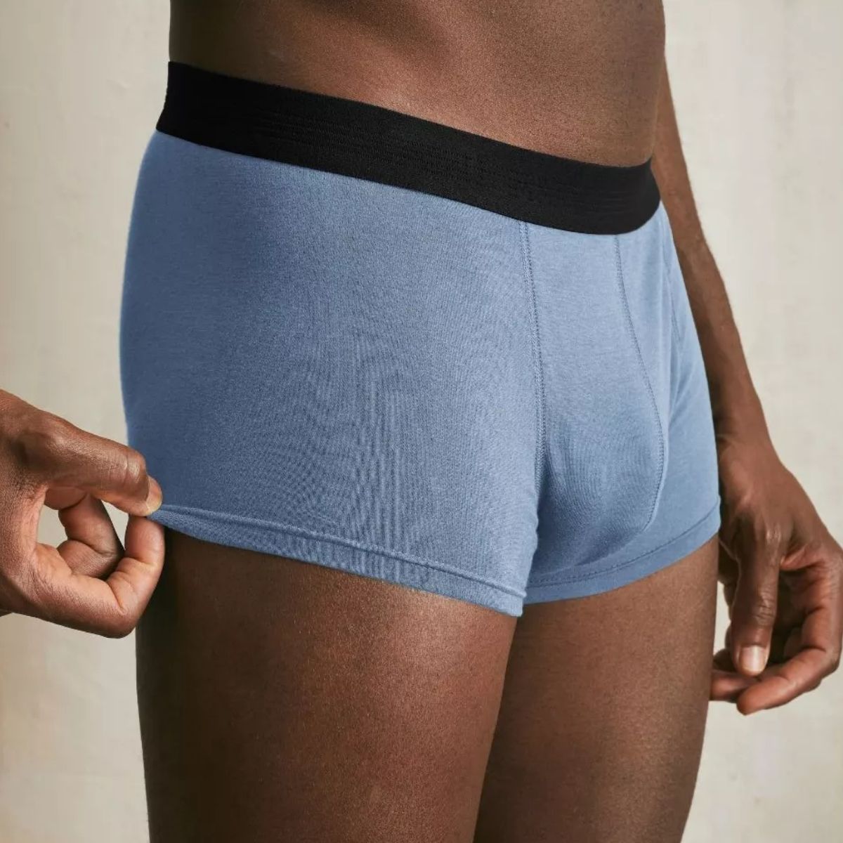 Boxer français Bleu clair