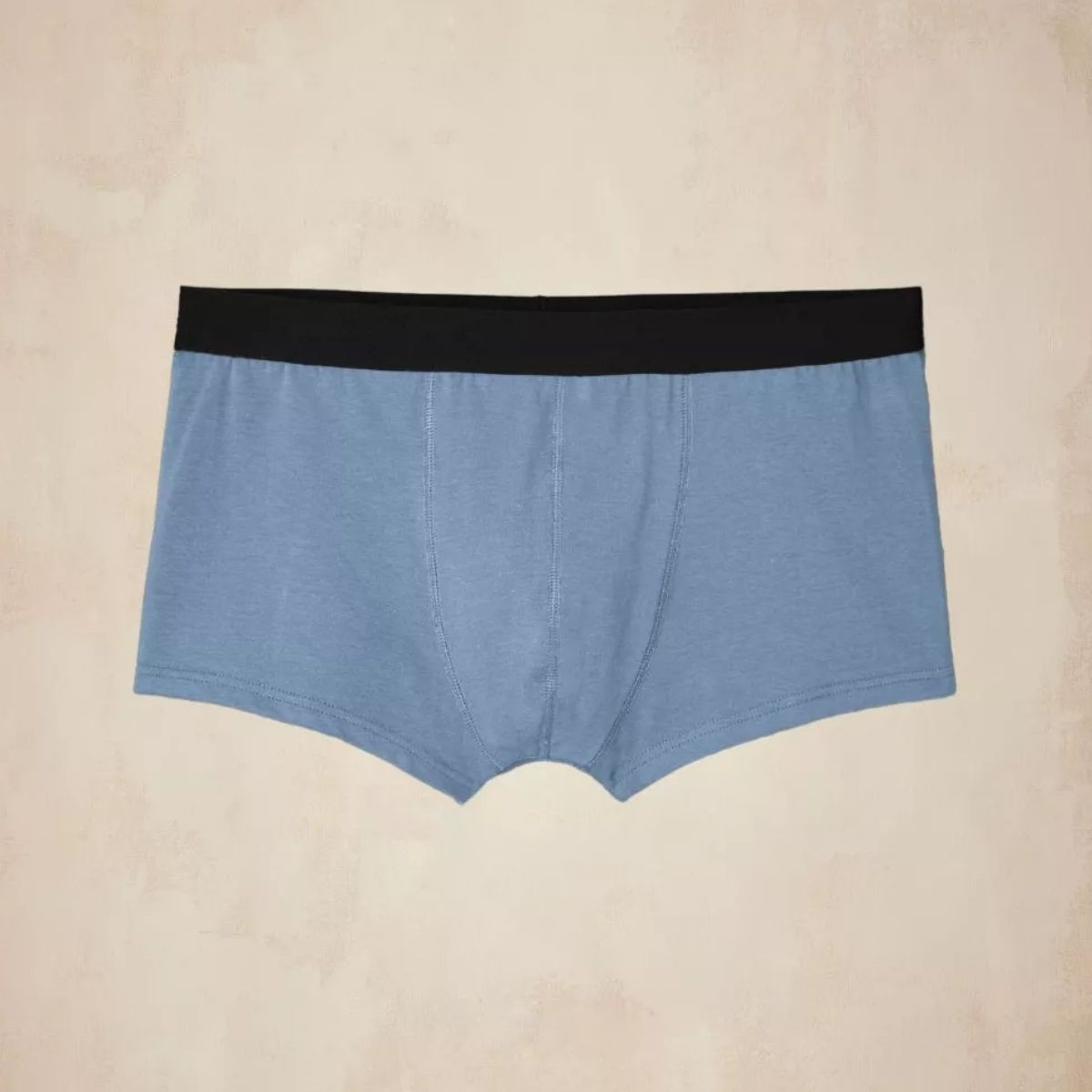 Boxer français Bleu clair