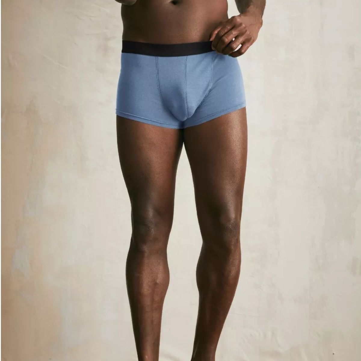 Boxer français Bleu clair
