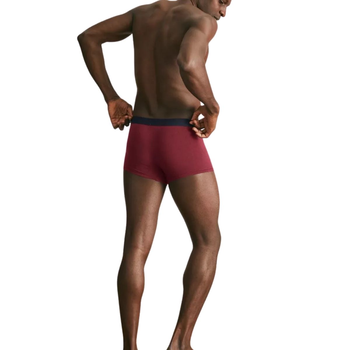 Boxer français grenat