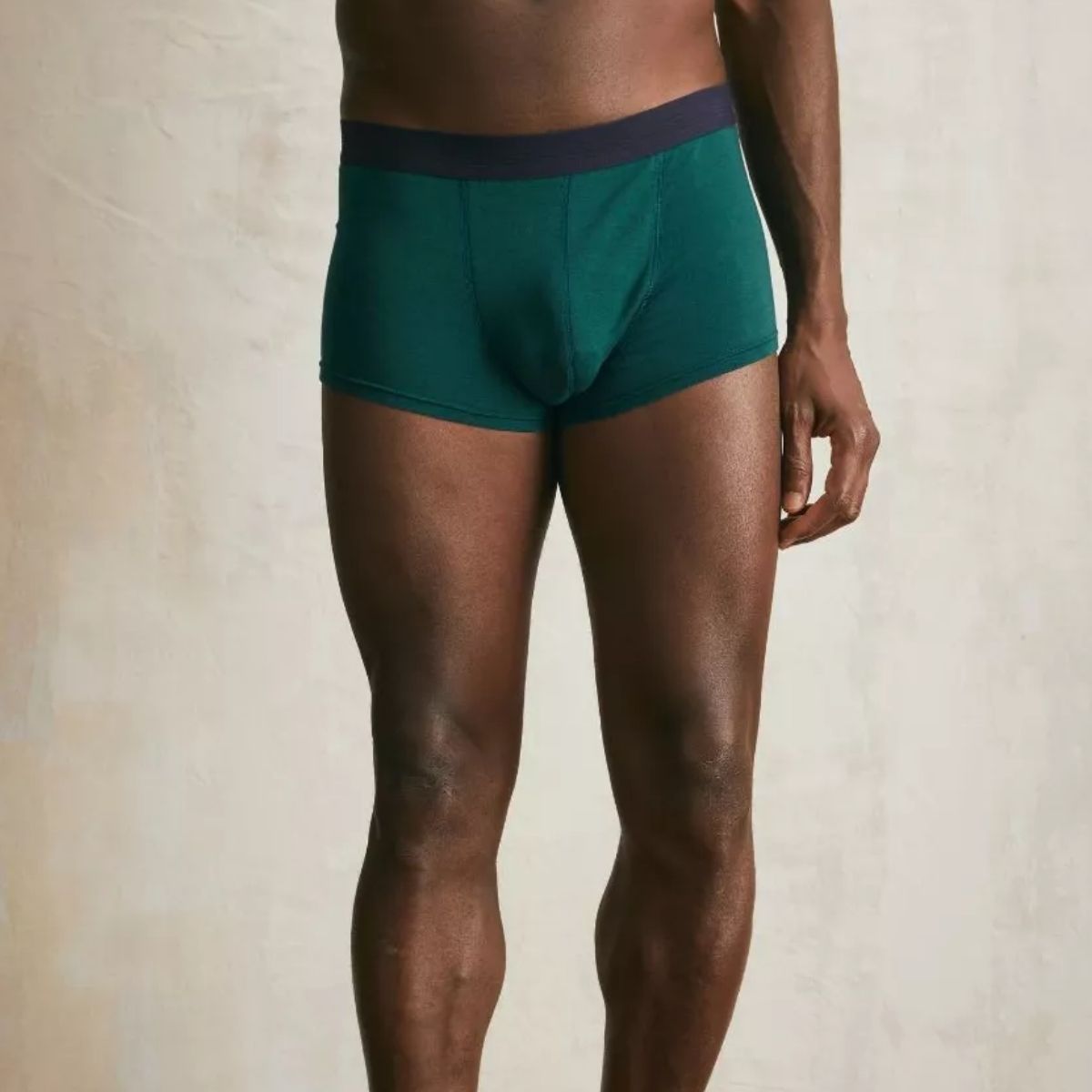 Boxer français vert