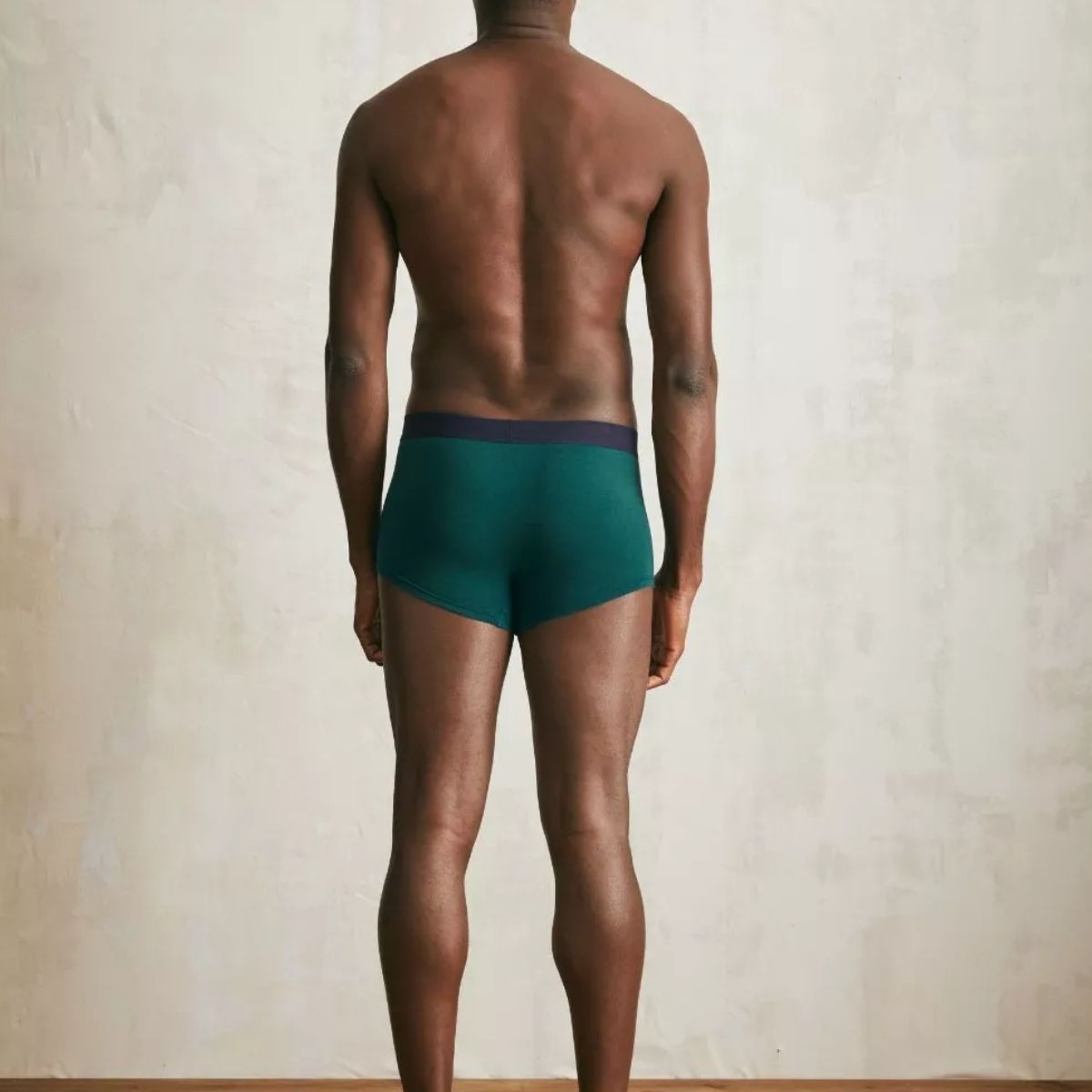 Boxer français vert