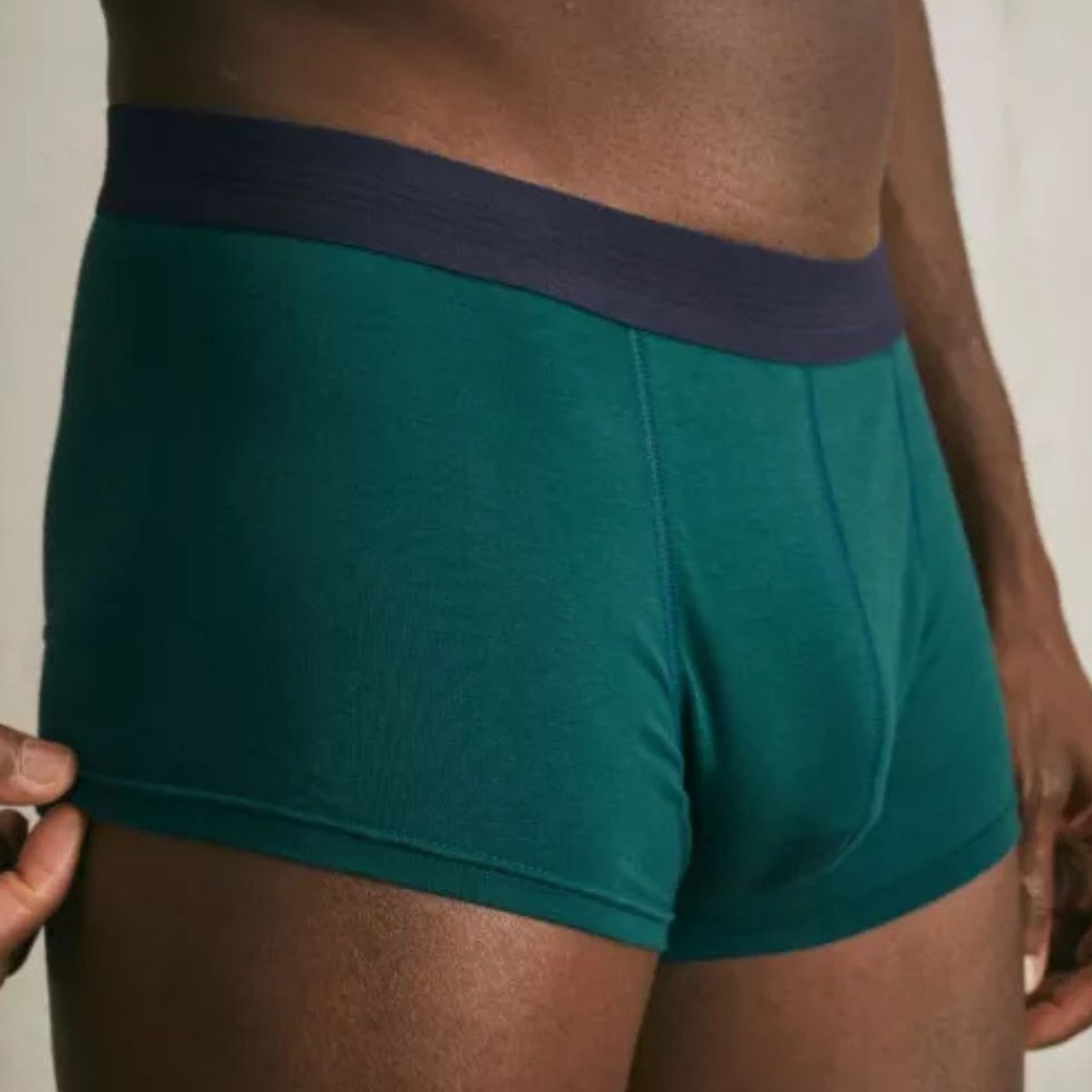 Boxer français vert