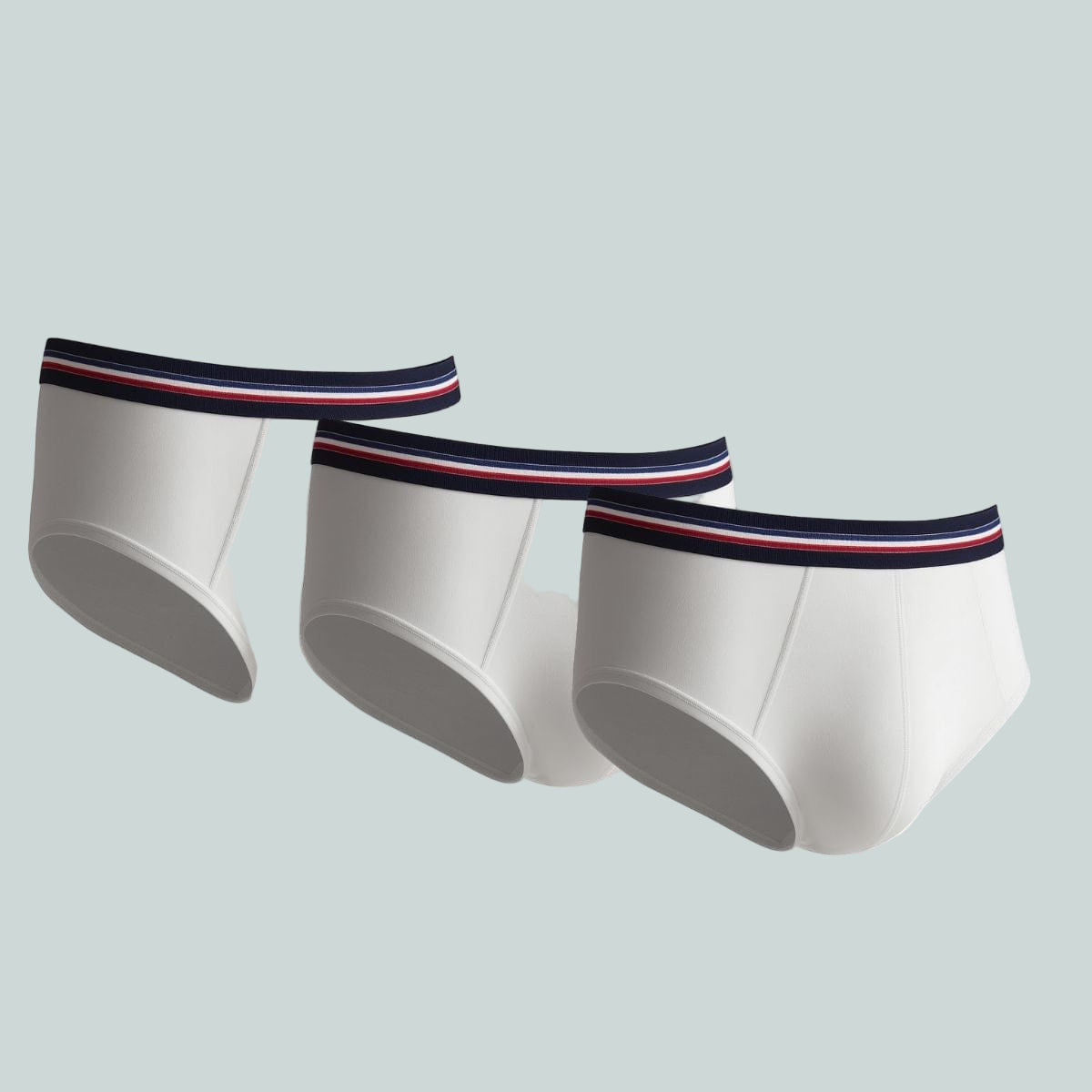 Lot de 3 slips blanc