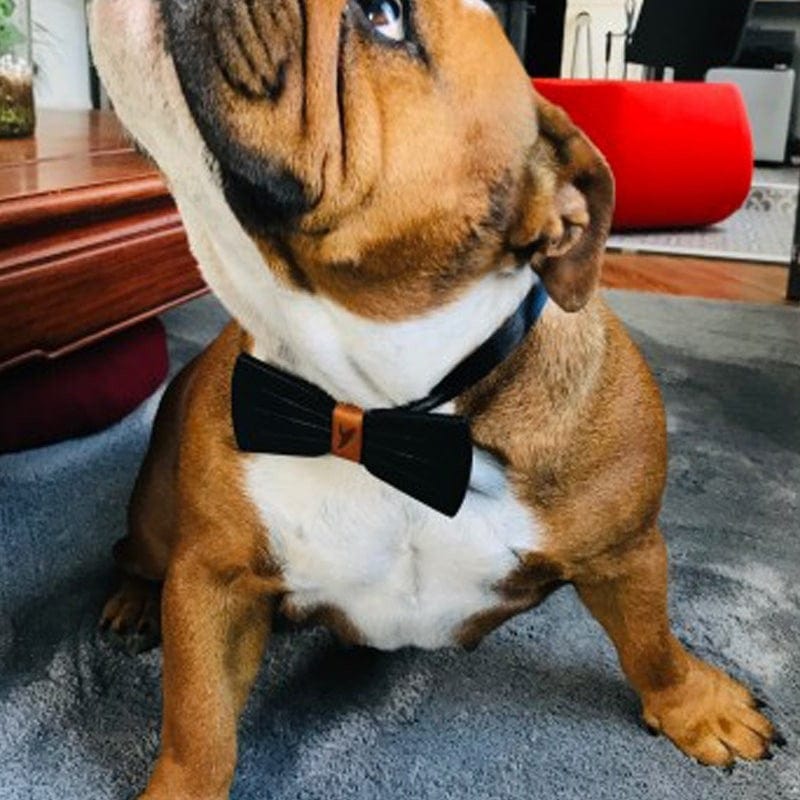 Nœud papillon en cuir