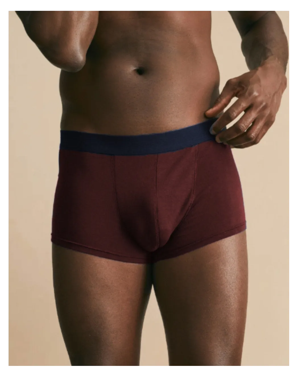Boxer français bordeaux