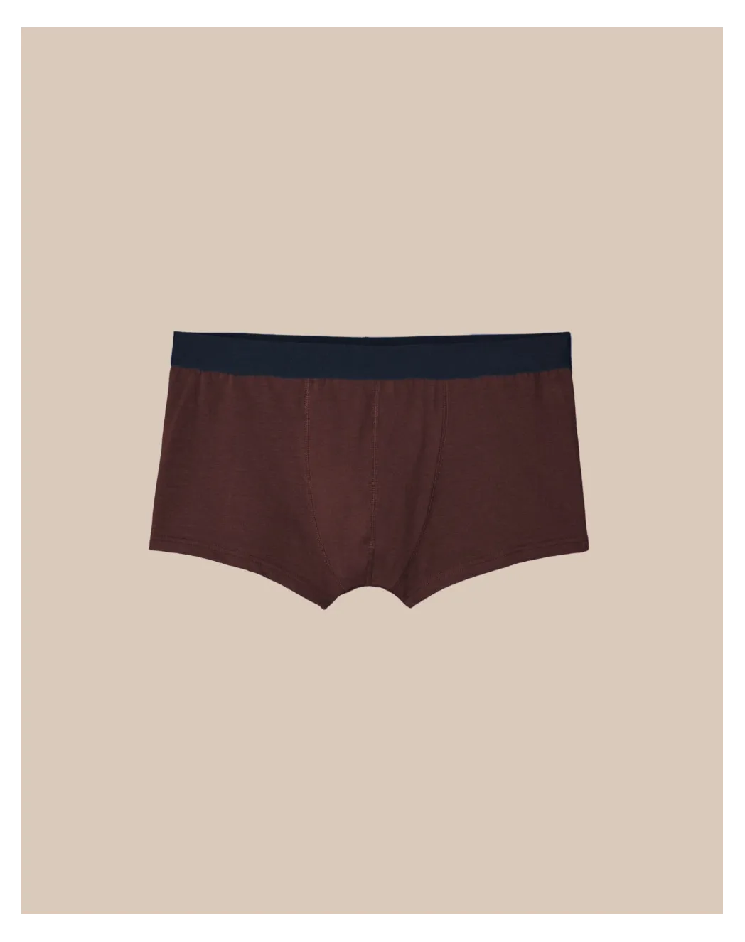 Boxer français bordeaux
