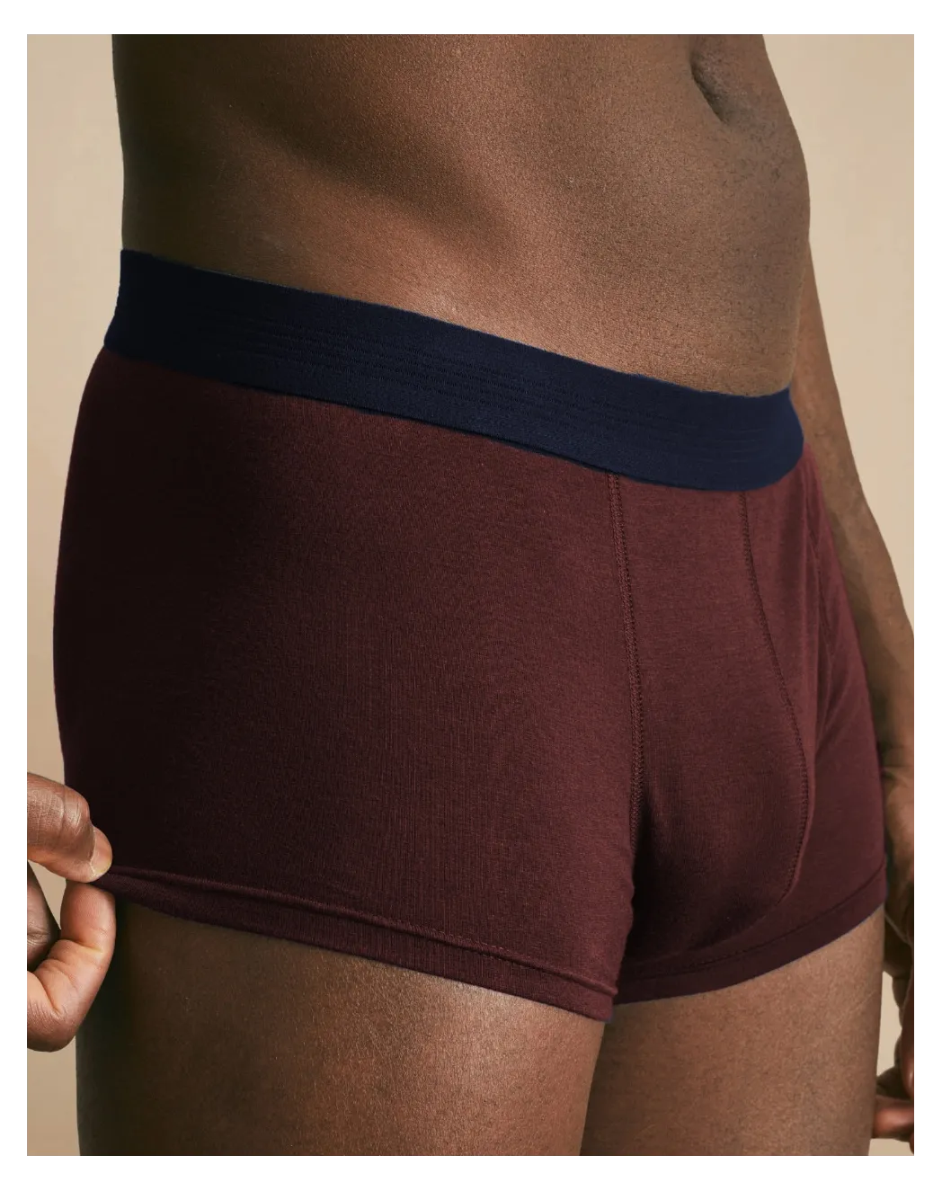 Boxer français bordeaux